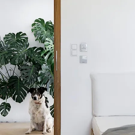 Apart-hotel Ivy's Natural Arnados