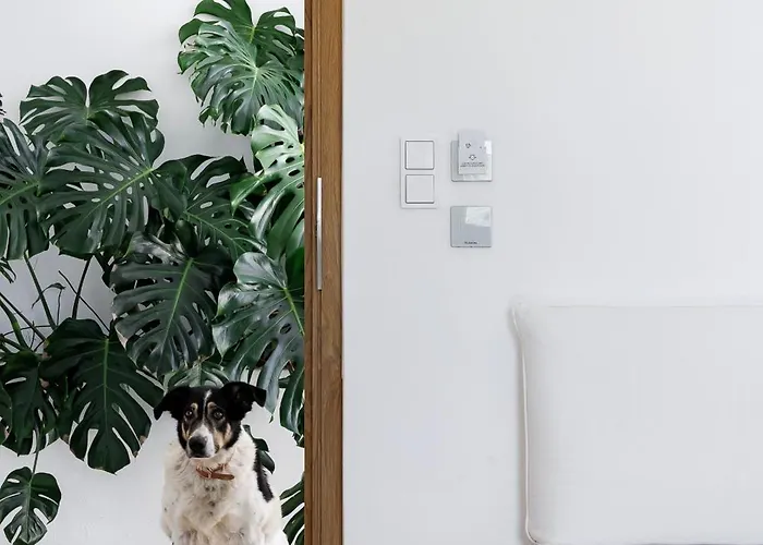 公寓式酒店 Ivy's Natural Arnados